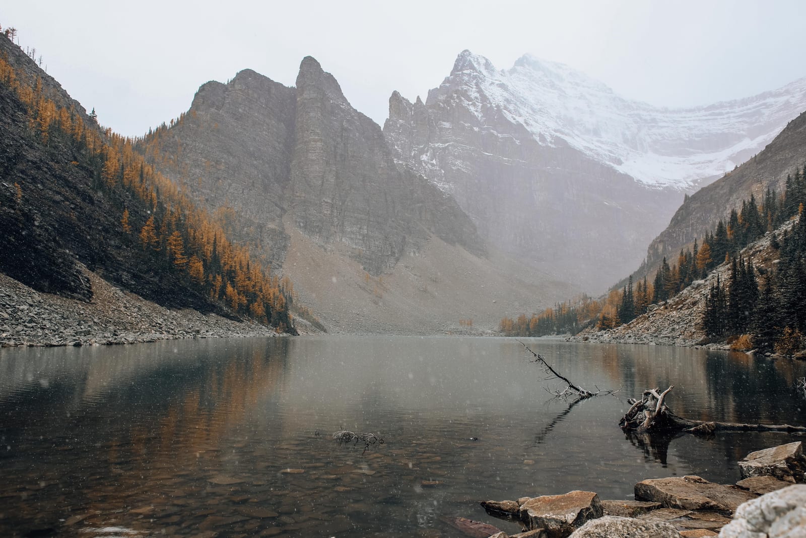 A misty alpine lake ringed by golden autumn larches and snowy peaks